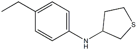 N-(4-ethylphenyl)thiolan-3-amine 구조식 이미지