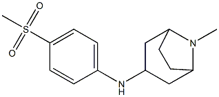 N-(4-methanesulfonylphenyl)-8-methyl-8-azabicyclo[3.2.1]octan-3-amine 구조식 이미지