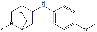 N-(4-methoxyphenyl)-8-methyl-8-azabicyclo[3.2.1]octan-3-amine Structure