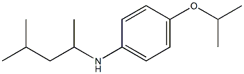 N-(4-methylpentan-2-yl)-4-(propan-2-yloxy)aniline Structure