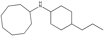 N-(4-propylcyclohexyl)cyclooctanamine 구조식 이미지