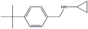 N-(4-tert-butylbenzyl)-N-cyclopropylamine Structure