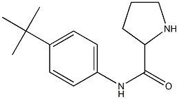 N-(4-tert-butylphenyl)pyrrolidine-2-carboxamide Structure