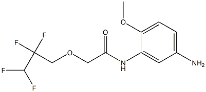 N-(5-amino-2-methoxyphenyl)-2-(2,2,3,3-tetrafluoropropoxy)acetamide 구조식 이미지