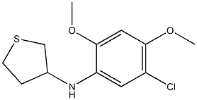 N-(5-chloro-2,4-dimethoxyphenyl)thiolan-3-amine 구조식 이미지