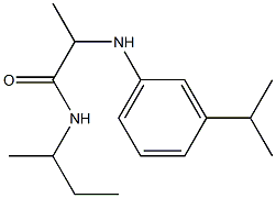 N-(butan-2-yl)-2-{[3-(propan-2-yl)phenyl]amino}propanamide 구조식 이미지