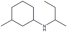 N-(butan-2-yl)-3-methylcyclohexan-1-amine Structure