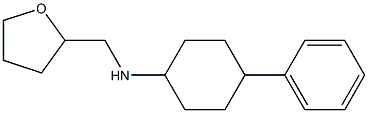 N-(oxolan-2-ylmethyl)-4-phenylcyclohexan-1-amine Structure