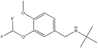 N-(tert-butyl)-N-[3-(difluoromethoxy)-4-methoxybenzyl]amine 구조식 이미지