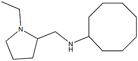 N-[(1-ethylpyrrolidin-2-yl)methyl]cyclooctanamine 구조식 이미지