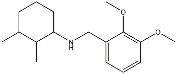 N-[(2,3-dimethoxyphenyl)methyl]-2,3-dimethylcyclohexan-1-amine 구조식 이미지