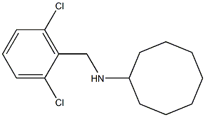 N-[(2,6-dichlorophenyl)methyl]cyclooctanamine 구조식 이미지