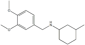 N-[(3,4-dimethoxyphenyl)methyl]-3-methylcyclohexan-1-amine Structure