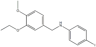 N-[(3-ethoxy-4-methoxyphenyl)methyl]-4-iodoaniline 구조식 이미지