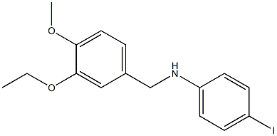 N-[(3-ethoxy-4-methoxyphenyl)methyl]-4-iodoaniline Structure