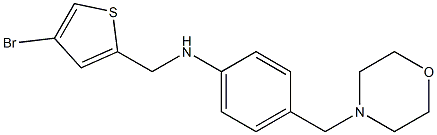 N-[(4-bromothiophen-2-yl)methyl]-4-(morpholin-4-ylmethyl)aniline 구조식 이미지