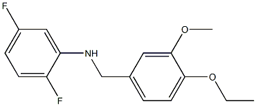 N-[(4-ethoxy-3-methoxyphenyl)methyl]-2,5-difluoroaniline Structure