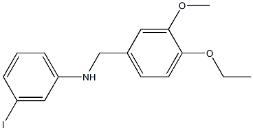 N-[(4-ethoxy-3-methoxyphenyl)methyl]-3-iodoaniline 구조식 이미지