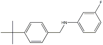 N-[(4-tert-butylphenyl)methyl]-3-fluoroaniline 구조식 이미지