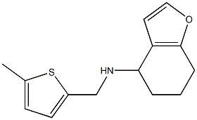 N-[(5-methylthiophen-2-yl)methyl]-4,5,6,7-tetrahydro-1-benzofuran-4-amine Structure