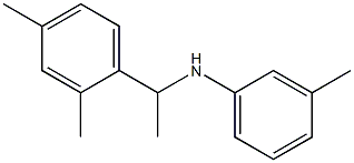 N-[1-(2,4-dimethylphenyl)ethyl]-3-methylaniline Structure