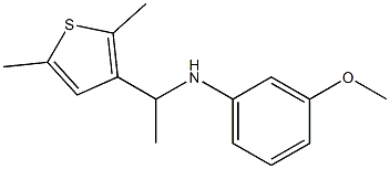 N-[1-(2,5-dimethylthiophen-3-yl)ethyl]-3-methoxyaniline 구조식 이미지