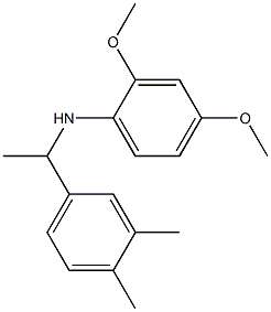 N-[1-(3,4-dimethylphenyl)ethyl]-2,4-dimethoxyaniline 구조식 이미지