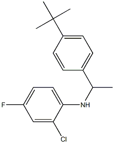 N-[1-(4-tert-butylphenyl)ethyl]-2-chloro-4-fluoroaniline 구조식 이미지