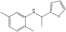 N-[1-(furan-2-yl)ethyl]-2,5-dimethylaniline 구조식 이미지