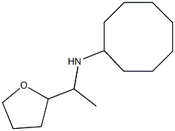 N-[1-(oxolan-2-yl)ethyl]cyclooctanamine 구조식 이미지