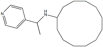 N-[1-(pyridin-4-yl)ethyl]cyclododecanamine 구조식 이미지