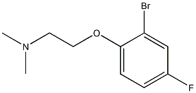 N-[2-(2-bromo-4-fluorophenoxy)ethyl]-N,N-dimethylamine 구조식 이미지
