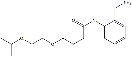 N-[2-(aminomethyl)phenyl]-4-[2-(propan-2-yloxy)ethoxy]butanamide 구조식 이미지