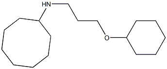 N-[3-(cyclohexyloxy)propyl]cyclooctanamine 구조식 이미지