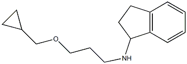 N-[3-(cyclopropylmethoxy)propyl]-2,3-dihydro-1H-inden-1-amine 구조식 이미지