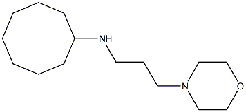 N-[3-(morpholin-4-yl)propyl]cyclooctanamine 구조식 이미지