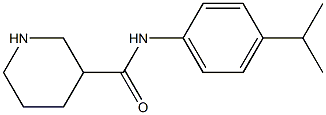 N-[4-(propan-2-yl)phenyl]piperidine-3-carboxamide 구조식 이미지