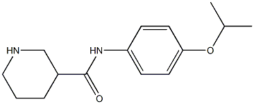 N-[4-(propan-2-yloxy)phenyl]piperidine-3-carboxamide 구조식 이미지