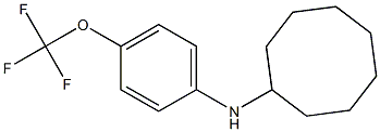 N-[4-(trifluoromethoxy)phenyl]cyclooctanamine Structure