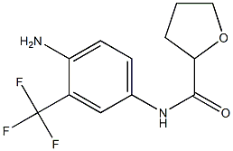 N-[4-amino-3-(trifluoromethyl)phenyl]tetrahydrofuran-2-carboxamide 구조식 이미지