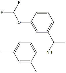 N-{1-[3-(difluoromethoxy)phenyl]ethyl}-2,4-dimethylaniline Structure