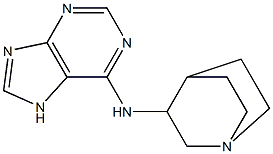 N-{1-azabicyclo[2.2.2]octan-3-yl}-7H-purin-6-amine Structure