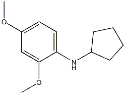 N-cyclopentyl-2,4-dimethoxyaniline 구조식 이미지