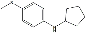 N-cyclopentyl-4-(methylsulfanyl)aniline 구조식 이미지