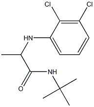 N-tert-butyl-2-[(2,3-dichlorophenyl)amino]propanamide Structure