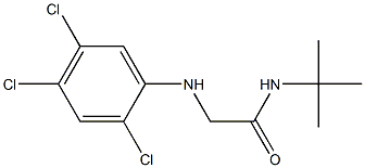 N-tert-butyl-2-[(2,4,5-trichlorophenyl)amino]acetamide 구조식 이미지