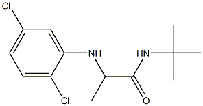 N-tert-butyl-2-[(2,5-dichlorophenyl)amino]propanamide 구조식 이미지