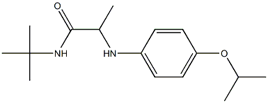 N-tert-butyl-2-{[4-(propan-2-yloxy)phenyl]amino}propanamide 구조식 이미지