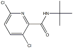 N-tert-butyl-3,6-dichloropyridine-2-carboxamide 구조식 이미지