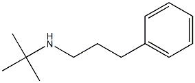 tert-butyl(3-phenylpropyl)amine 구조식 이미지